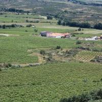 Виноградник в Португалии, Албуфейра