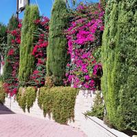 Villa in Republic of Cyprus, Eparchia Pafou, Paphos, 260 sq.m.
