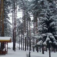 Flat in Bulgaria, Bansko, 41 sq.m.