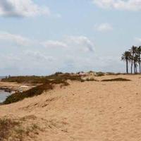 Flat in Spain, Comunitat Valenciana, Alicante, 75 sq.m.