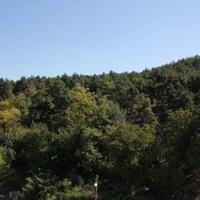 Flat in Bulgaria, Varna region, 60 sq.m.