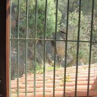 Вилла в Испании, Каталония, Багур, 177 кв.м.