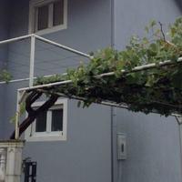 Вилла в Черногории, 200 кв.м.