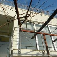 Вилла в Черногории, 300 кв.м.