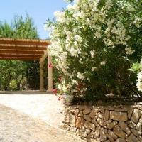 Вилла в Испании, Валенсия, Аликанте, 166 кв.м.