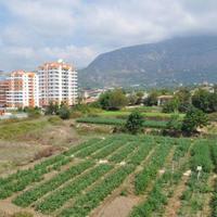 Квартира в Турции, 50 кв.м.