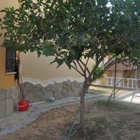 Flat in Turkey, 450 sq.m.