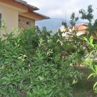 Flat in Turkey, 450 sq.m.