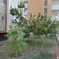 Flat in Turkey, 450 sq.m.