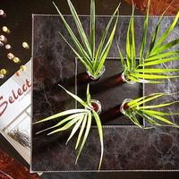 Квартира в Турции, 105 кв.м.