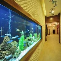 Квартира в Турции, 81 кв.м.