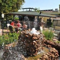 Другое в Турции, 12000 кв.м.