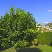 Вилла в Испании, Валенсия, Аликанте, 120 кв.м.