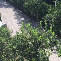 Flat in Turkey, 100 sq.m.