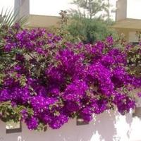 Квартира в Турции, 55 кв.м.