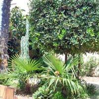 Квартира в Испании, Каталония, Жирона, 45 кв.м.