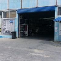 Другое в Болгарии, Добричская область, 5000 кв.м.