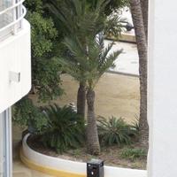 Другое в Испании, Каталония, Багур, 200 кв.м.