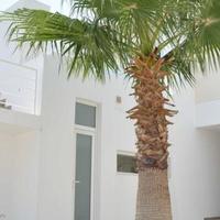 Villa in Turkey, 120 sq.m.