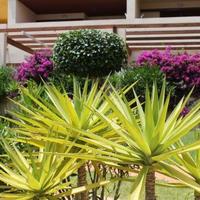 Апартаменты в центре города в Испании, Валенсия, Аликанте, 61 кв.м.