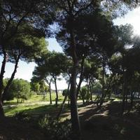 Apartment in the city center in Spain, Comunitat Valenciana, Alicante, 60 sq.m.