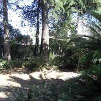 Villa in the city center in Italy, San Donnino, 520 sq.m.