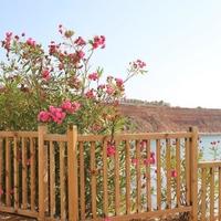 Apartment at the first line of the sea / lake in Spain, Comunitat Valenciana, Alicante, 80 sq.m.