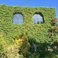 Вилла в пригороде в Италии, Вентимилья, 250 кв.м.