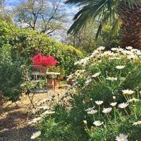 Вилла в пригороде в Италии, Вентимилья, 250 кв.м.