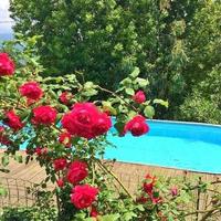 Вилла в пригороде в Италии, Вентимилья, 250 кв.м.