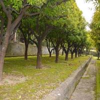 Квартира в пригороде в Италии, Вентимилья, 185 кв.м.