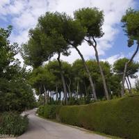 Земельный участок в пригороде в Испании, Андалусия