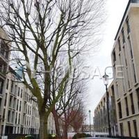 Квартира Великобритании, Англия, Лондон, 73 кв.м.