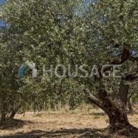 Дом в Италии, Пьенца, 1300 кв.м.