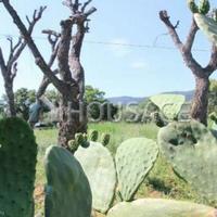 Villa in Italy, Pienza, 180 sq.m.