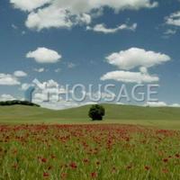 Дом в Италии, Пьенца, 700 кв.м.