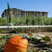 House in Italy, Pienza, 2000 sq.m.