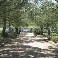 House in Italy, Pienza, 400 sq.m.