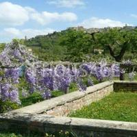 Дом в Италии, Пьенца, 550 кв.м.