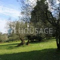 House in Italy, Pienza, 349 sq.m.