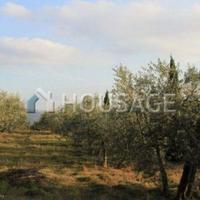 Дом в Италии, Пьенца, 500 кв.м.