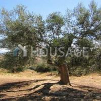 Дом в Италии, Пьенца, 1100 кв.м.