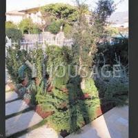 Вилла в Италии, Пиза, 239 кв.м.