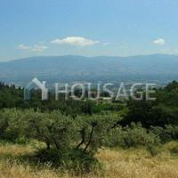 Дом в Италии, Пьенца, 2650 кв.м.