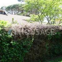 Вилла в Италии, Пиза, 260 кв.м.