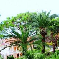 Apartment in Italy, San Donnino, 120 sq.m.