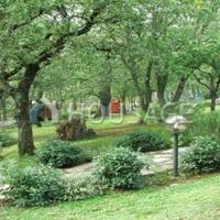 House in Italy, Pienza, 740 sq.m.