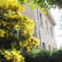 Villa in Italy, San Donnino, 800 sq.m.