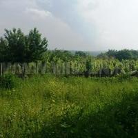 Дом в Болгарии, Бургасская область, Елените, 100 кв.м.