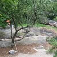 Вилла в Черногории, 598 кв.м.